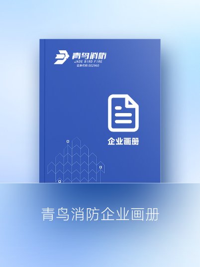 🐥九游会·(j9)官方网站
消防企业画册
